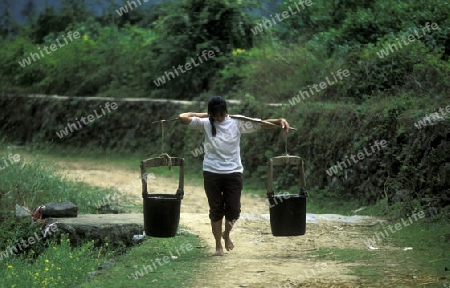 a women with water at the farmland near the town of Yangshou near the city of  Guilin in the Province of Guangxi in china in east asia. 