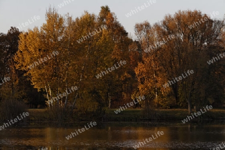 Herbst am See