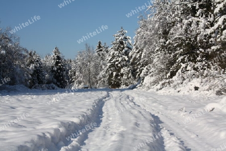 Schneelandschaft