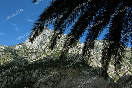 Europa, Osteuropa, Balkan. Montenegro, Mittelmeer, Adria, Kotor, Bucht von Kotor, Bucht, Altstadt, Dorf, Berg, Landschaft,  