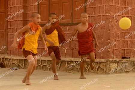 Young Monks Play Soccer in a Pagoda in the town of Nyaungshwe at the Inle Lake in the Shan State in the east of Myanmar in Southeastasia.