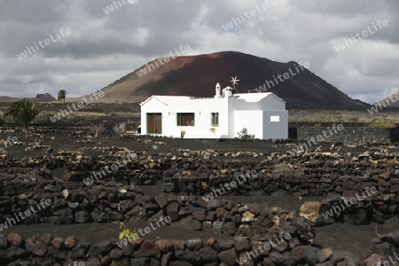 a House in the landscape of volcanic Hills on the Island of Lanzarote on the Canary Islands of Spain in the Atlantic Ocean.
