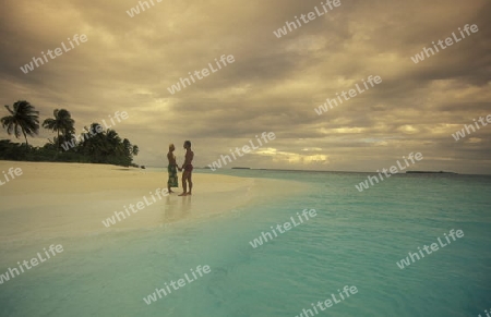 
Der Traumstrand mit Palmen und weissem Sand an der Insel Velavaru im Southmale Atoll auf den Inseln der Malediven im Indischen Ozean.   