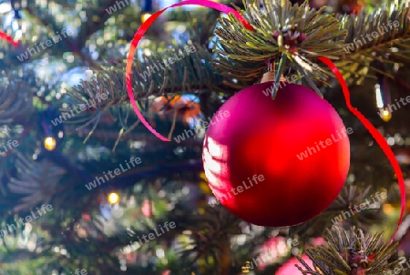 Beautiful colorful christmas decoration