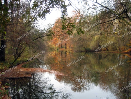 Herbst in Englischer Garten