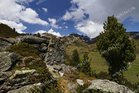 Zillertaler Berge, Oesterreich