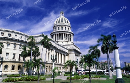 the capitolio National in the city of Havana on Cuba in the caribbean sea.