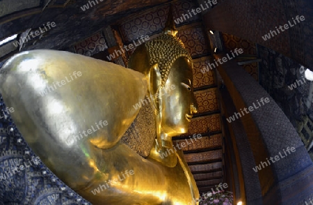 Der Grosse liegende Buddha im Wat Pho Tempel in der Stadt Bangkok in Thailand in Suedostasien.