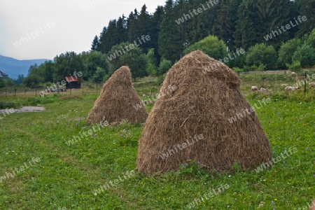 Heureiter - Traditionelle Landwirtschaft