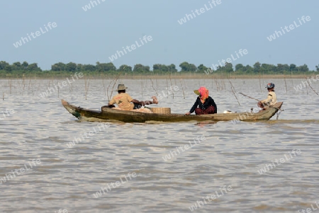 The People at work in the Lake Village Kompong Pluk at the Lake Tonle Sap near the City of Siem Riep in the west of Cambodia.