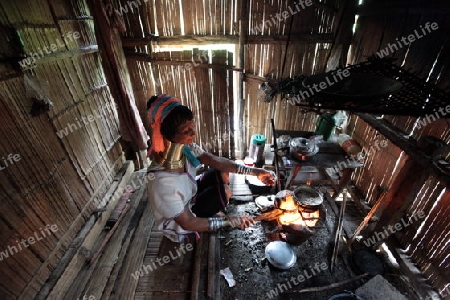 Eine Traditionell gekleidete Langhals Frau eines Paudang Stammes aus Burma lebt in einem Dorf noerdlich von Chiang Mai in Nord Thailand.