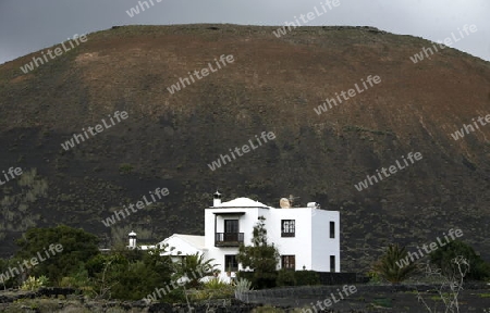 a House in the landscape of volcanic Hills on the Island of Lanzarote on the Canary Islands of Spain in the Atlantic Ocean.
