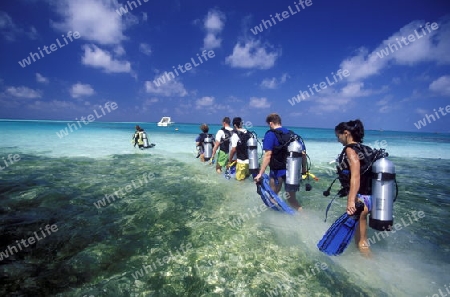 
Eine Tauchschule an der Insel Velavaru im Southmale Atoll auf den Inseln der Malediven im Indischen Ozean.  