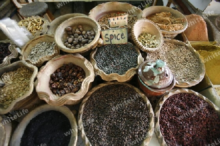 the Market or Souq in the city of Aqaba on the red sea in Jordan in the middle east.