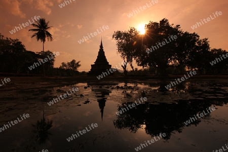 Ein Chedi beim Wat Mahathat Tempel in der Tempelanlage von Alt-Sukhothai in der Provinz Sukhothai im Norden von Thailand in Suedostasien.