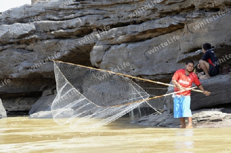 Ein Fischer in der Steinlandschaft im Mekong River des Naturpark Sam Phan Bok bei Lakhon Pheng am Mekong River in der Provinz Amnat Charoen nordwestlich von Ubon Ratchathani im nordosten von Thailand in Suedostasien.