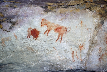 Alte Felszeichnungen der San, Ureinwohner S?dafrikas, Sevilla Rock Art Trail, Cederberge nahe Clanwilliam und Wuppertal, Western Cape, West Kap, S?dafrika, Afrika