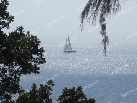 Boat on the sea