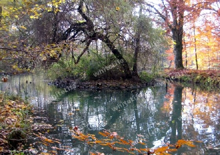 Englischer Garten M?nchen