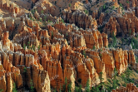 Felsformationen und Hoodoos, Bryce Canyon bei Sonnenaufgang, Bryce Point, Utah, Suedwesten, USA