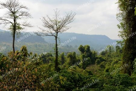 The Landscape near the Tempel Ruin of  Kbal Spean 50 Km northeast of in the Temple City of Angkor near the City of Siem Riep in the west of Cambodia.