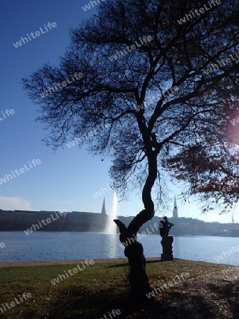 Herbst an der Alster      