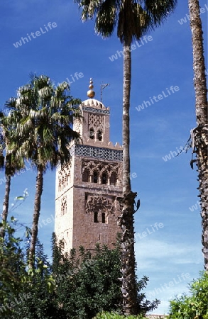 The Mosque Koutoubia in the old town of Marrakesh in Morocco in North Africa.
