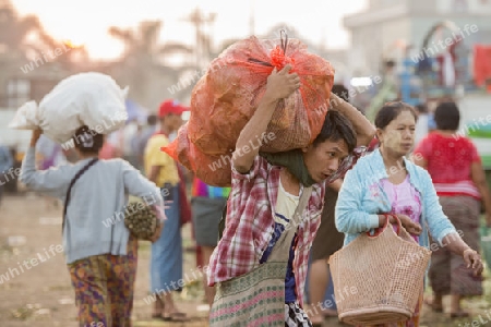 a fegetable market in a Market near the City of Yangon in Myanmar in Southeastasia.