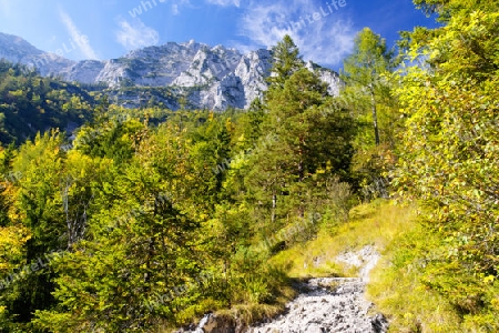 Auf dem Weg zur Halsalm, Nationalpark Berchtesgaden, Germany