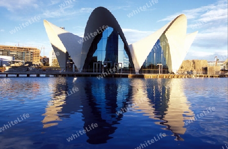 Das L Oceanografic im Modernen Stadtteil von Valenzia in Spanien in Europa.