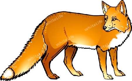 fuchs