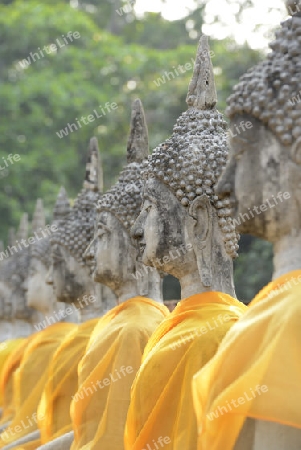 The Wat Yai Chai Mongkol Temple in City of Ayutthaya in the north of Bangkok in Thailand, Southeastasia.