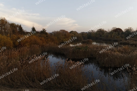 Herbst am See