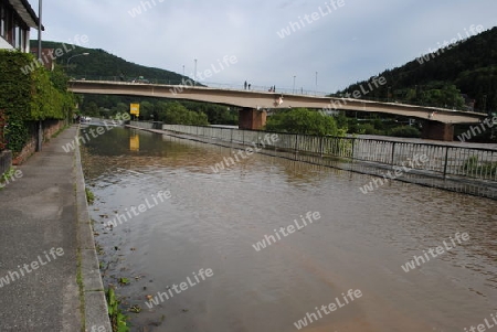 Hochwasser Rhein-Neckar