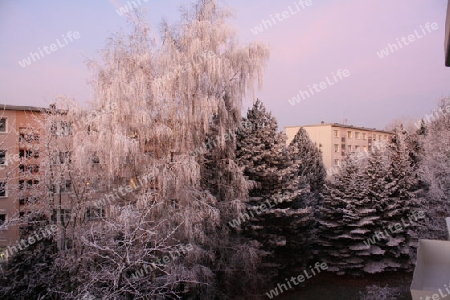 Winterliches