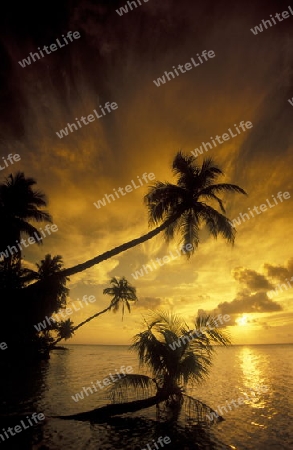 
Der Traumstrand mit Palmen und weissem Sand an der Insel Velavaru im Southmale Atoll auf den Inseln der Malediven im Indischen Ozean.   