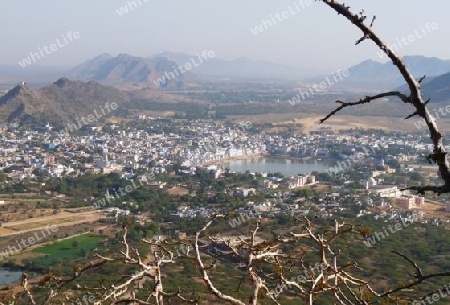 Indien,Rajasthan - Pushkar