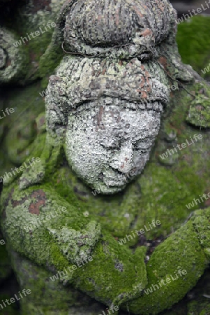 Traditionelle Figuren stehen im Garten von Ban Phor Linag Meuns Terracota Art zum Verkauf bereit dies im Terracota Garden in Chiang Mai im norden von Thailand in Suedostasien.