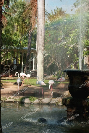 Park mit Springbrunnen