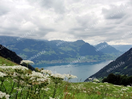 Blick vom Gersauerberg 