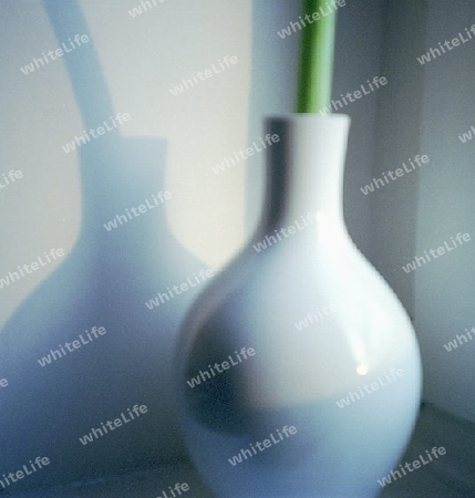 vase_blumenstiel