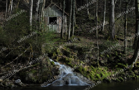 Cabin in the wood