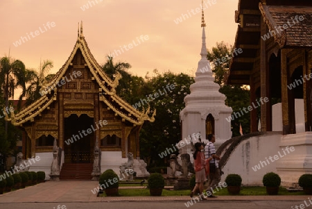 Der Tempel War Phra Sing in Chiang Mai im norden von Thailand in Suedostasien.