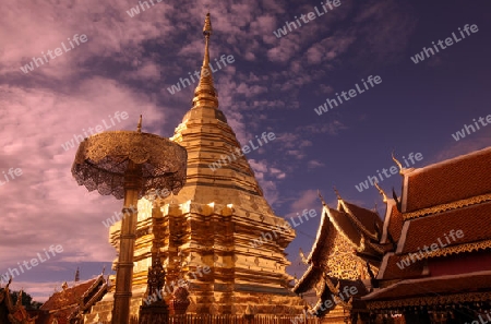 Der Chedi der Tempel Anlage des Wat Phra That Doi Suthep bei Chiang Mai in der Provinz Chiang Mai im Norden von Thailand in Suedostasien.