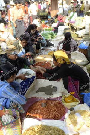 the market at the Village of Phaung Daw Oo at the Inle Lake in the Shan State in the east of Myanmar in Southeastasia.