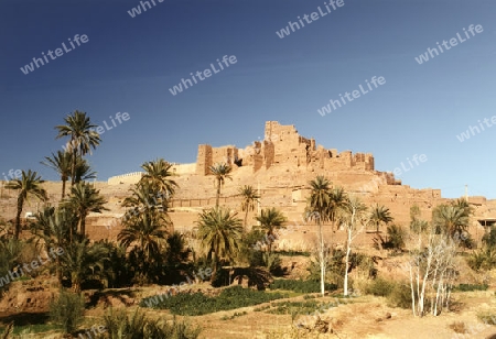 Kasbah Tiffoultoute