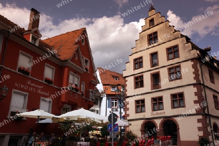  the village of Endingen im Kaiserstuhl in the Blackforest in the south of Germany in Europe.