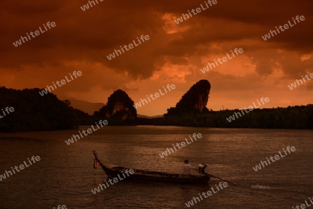 The mangroves at a lagoon near the City of Krabi on the Andaman Sea in the south of Thailand. 