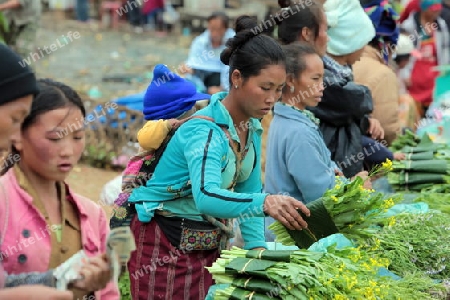 Ein Markt in der Bergregion beim Dorf Muang Phou Khoun an der Nationalstrasse 13 zwischen Vang Vieng und Luang Prabang in Zentrallaos von Laos in Suedostasien.  