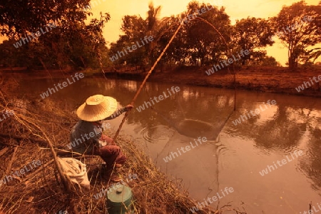 Eine alte Frau beim Fischenbei der Stadt Khorat in der provinz Nakhon Ratchasima im Nordosten von Thailand im Suedwesten von Thailand in Suedostasien. 